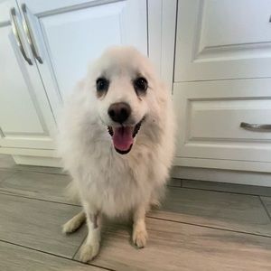 Hi there! I’m Estella.